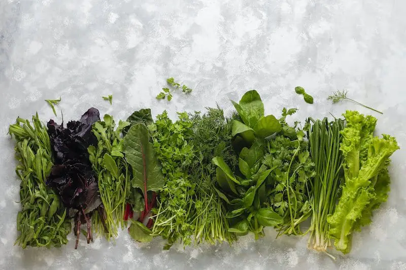 Home garden with herbs and veggies